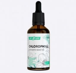 Хлорофилл — помощник в похудении и укреплении здоровья