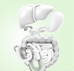 Причины и симптомы изжоги при гастроэзофагеальном рефлюксе