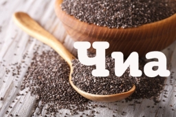 Чиа: неоспоримая польза испанского Шалфея