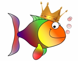 Хотите похудеть играючи, весело, бесплатно? Тогда мы идем к вам!